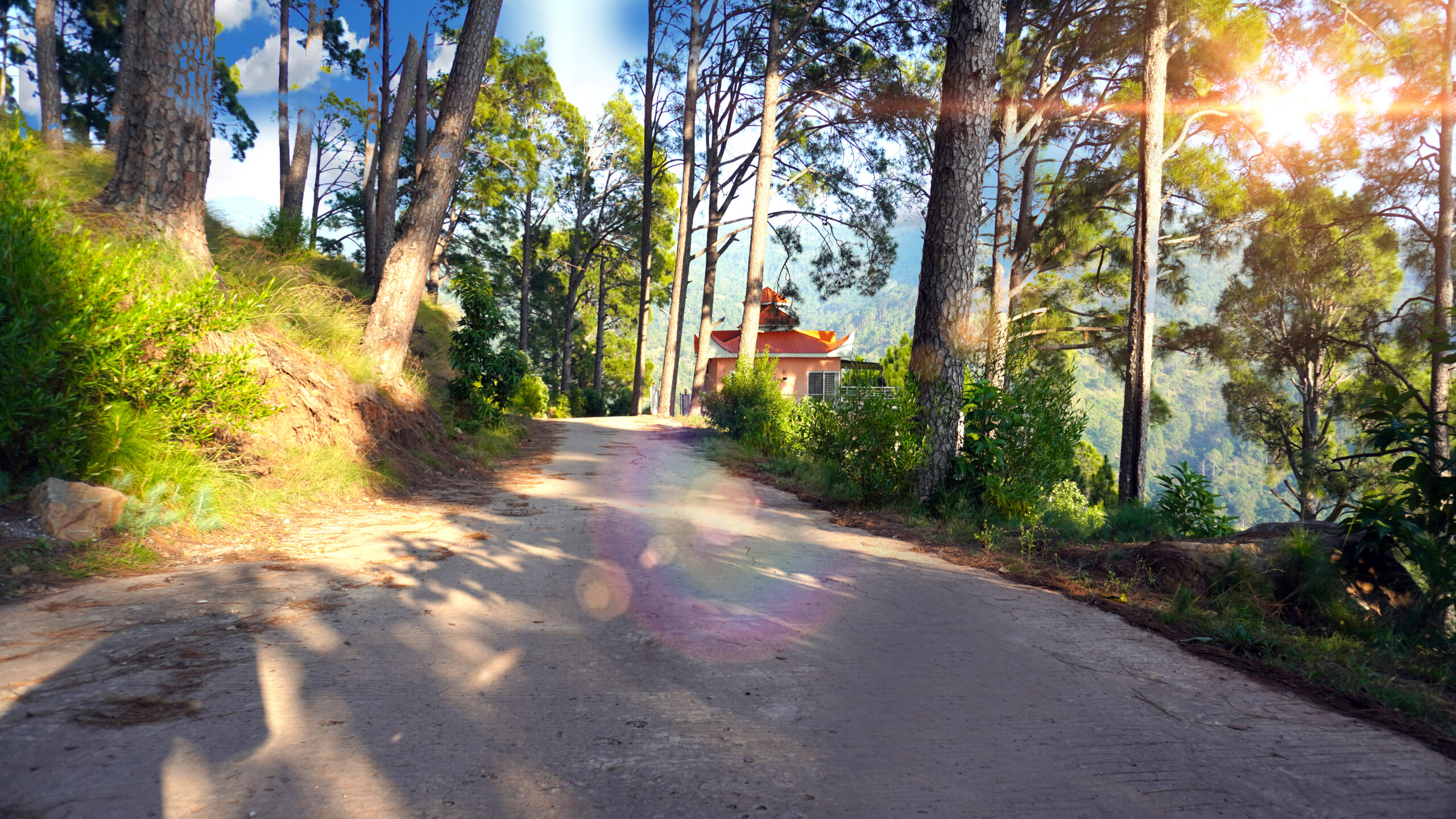 Plot and farm & resorts new murree resorts