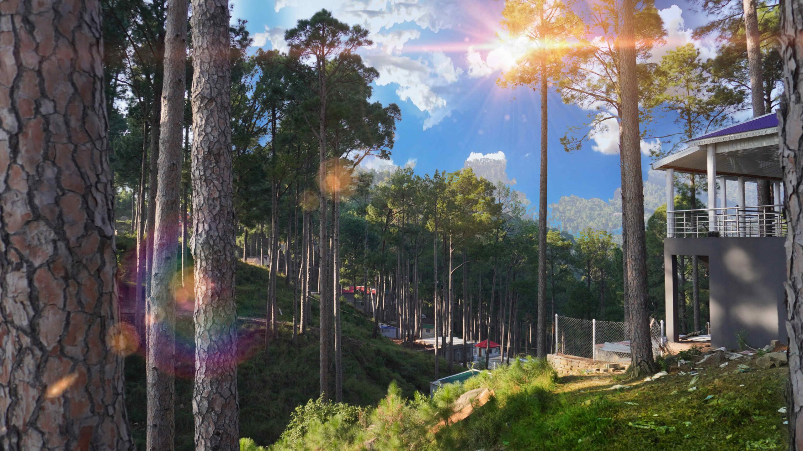 1 Kanal plot for sale Murree 1 Kanal luxury plot Murree Resorts Angoori Road 1 Kanal plot Murree 1 Kanal plot near Patriata Murree 1 Kanal plot with scenic view 1 Kanal residential plot Murree Murree 1 Kanal plot investment Luxury Plot Sale in Murree Luxury Living Plot Sale in Murree. 10 Kanal plot Murree, Murree estate land, luxury lifestyle Murree, Patriata land for sale, Murree hilltop property.