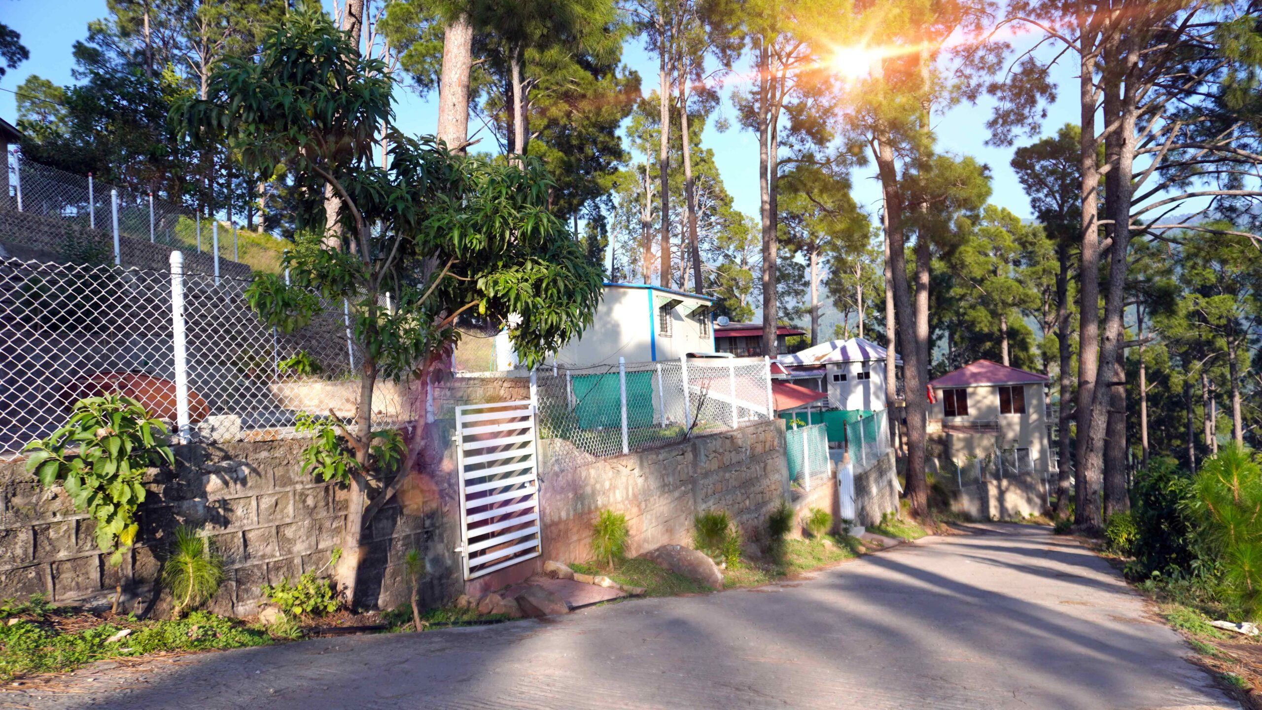 10 Kanal plot for sale Murree 10 Kanal luxury plot Murree Resorts Angoori Road 10 Kanal plot Murree 10 Kanal plot near Patriata Murree 10 Kanal plot with scenic view 10 Kanal residential plot Murree Murree 10 Kanal plot investment Luxury Plot Sale in Murree Luxury Living Plot Sale in Murree. 10 Kanal Lurury Plot in Murree – New Murree Resorts. Buy 10 Kanal estate plot in New Murree Resorts. Enjoy luxury resort living just 9 km from Patriata Chairlift & New Murree Resorts.