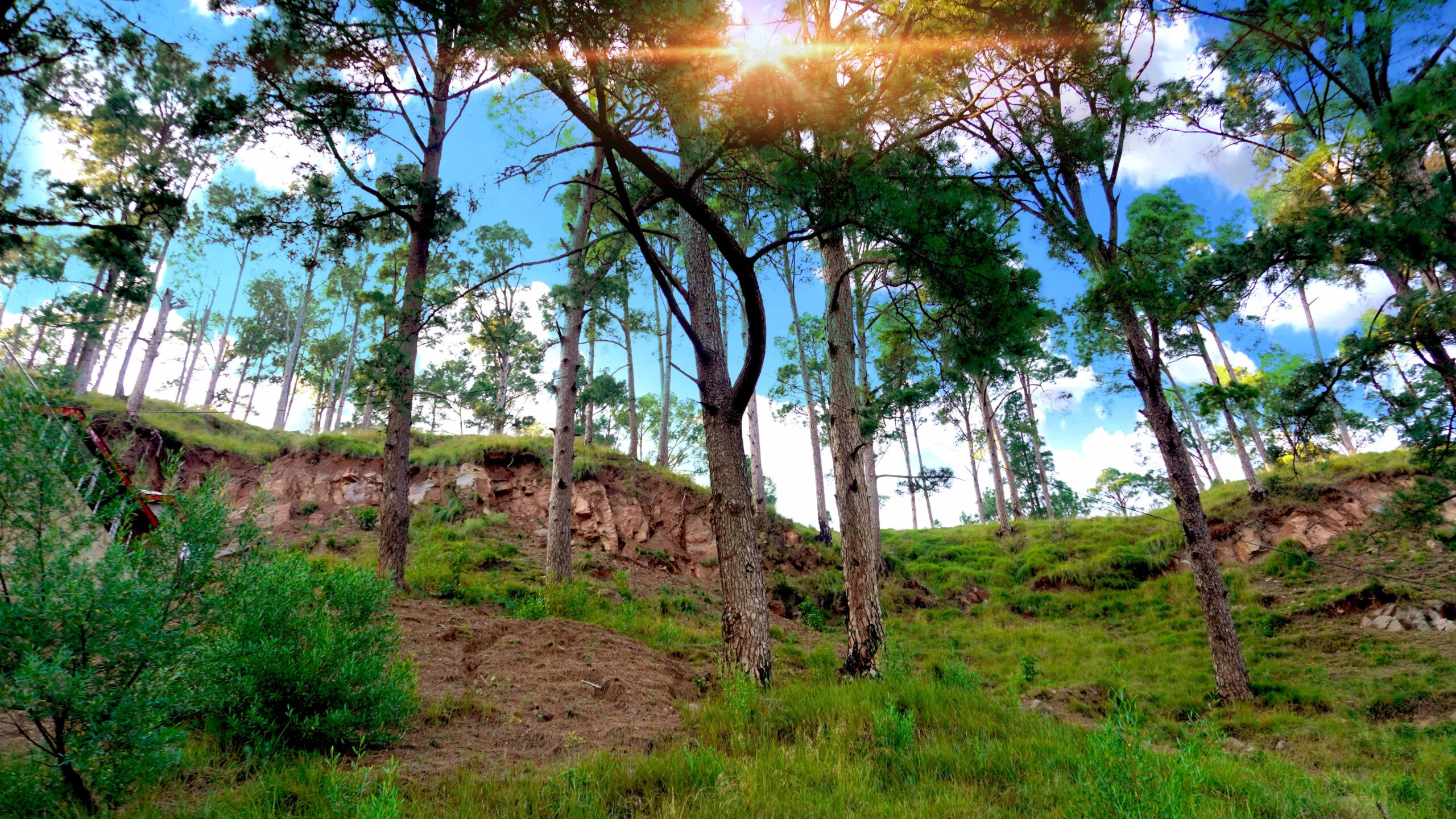 5 Marla Luxury Plot for Sale in Murree – New Murree Resorts. 5 Marla luxury plot Murree 5 Marla plot near Patriata Chairlift Angoori Road 5 Marla plot Sale in Murree Murree Resorts 5 Marla plot for sale Small plot investment Murree 5 Marla plot Sale in Murree Murree 5 Marla plot with scenic view 5 Marla residential plot Murree. Buy a 5 Marla luxury plot in New Murree Resorts on Angoori Road. Just 9 km from Patriata Chairlift. Ideal for premium living & investment near, 5 Marla plot Murree, luxury plot Murree, Angoori Road plot, Murree resorts, Patriata Chairlift plot, invest in Murree.