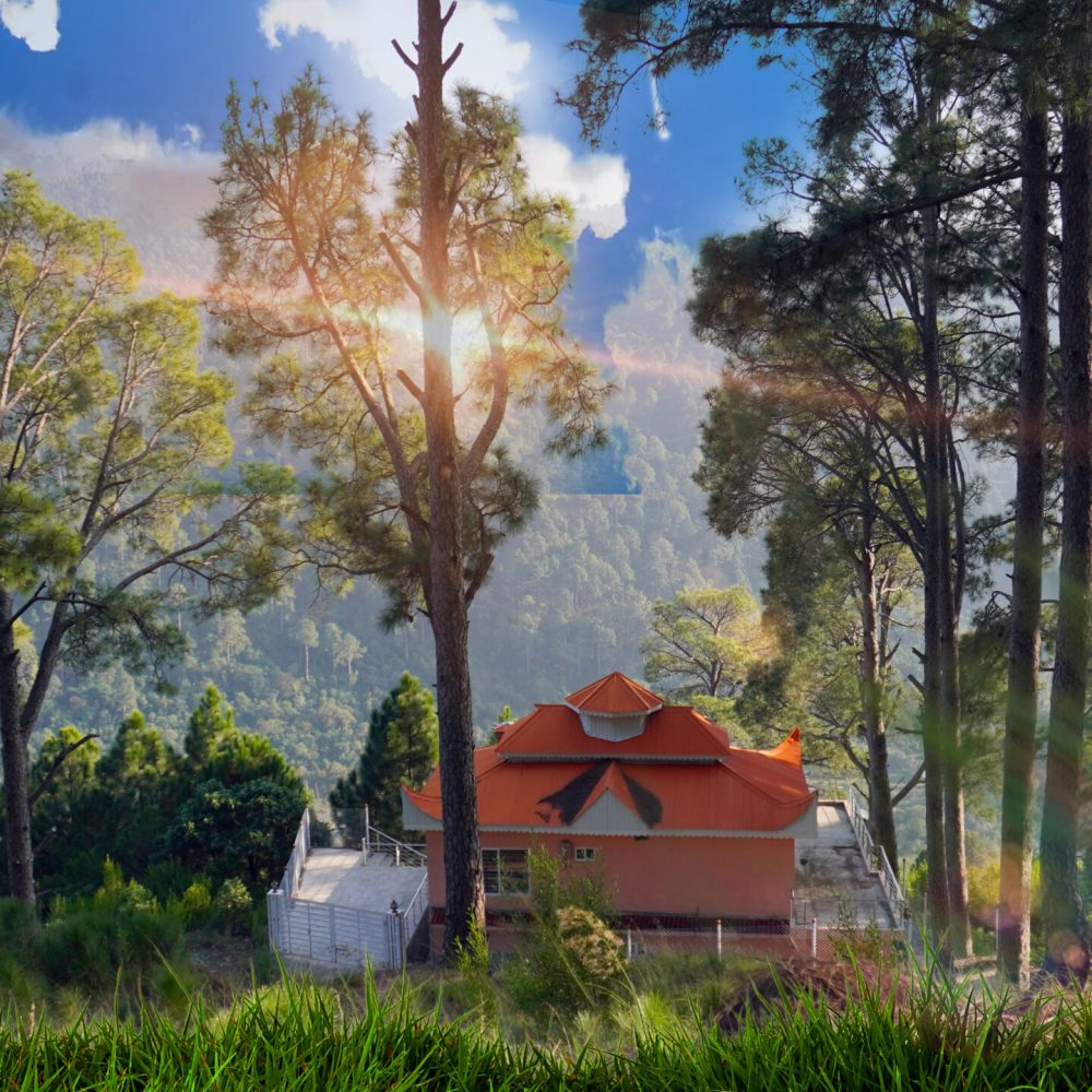 NEW MURREE RESORTS is planned with the vision to provide luxury and spaciousness and is elegantly designed in a way that each villa/Farm.